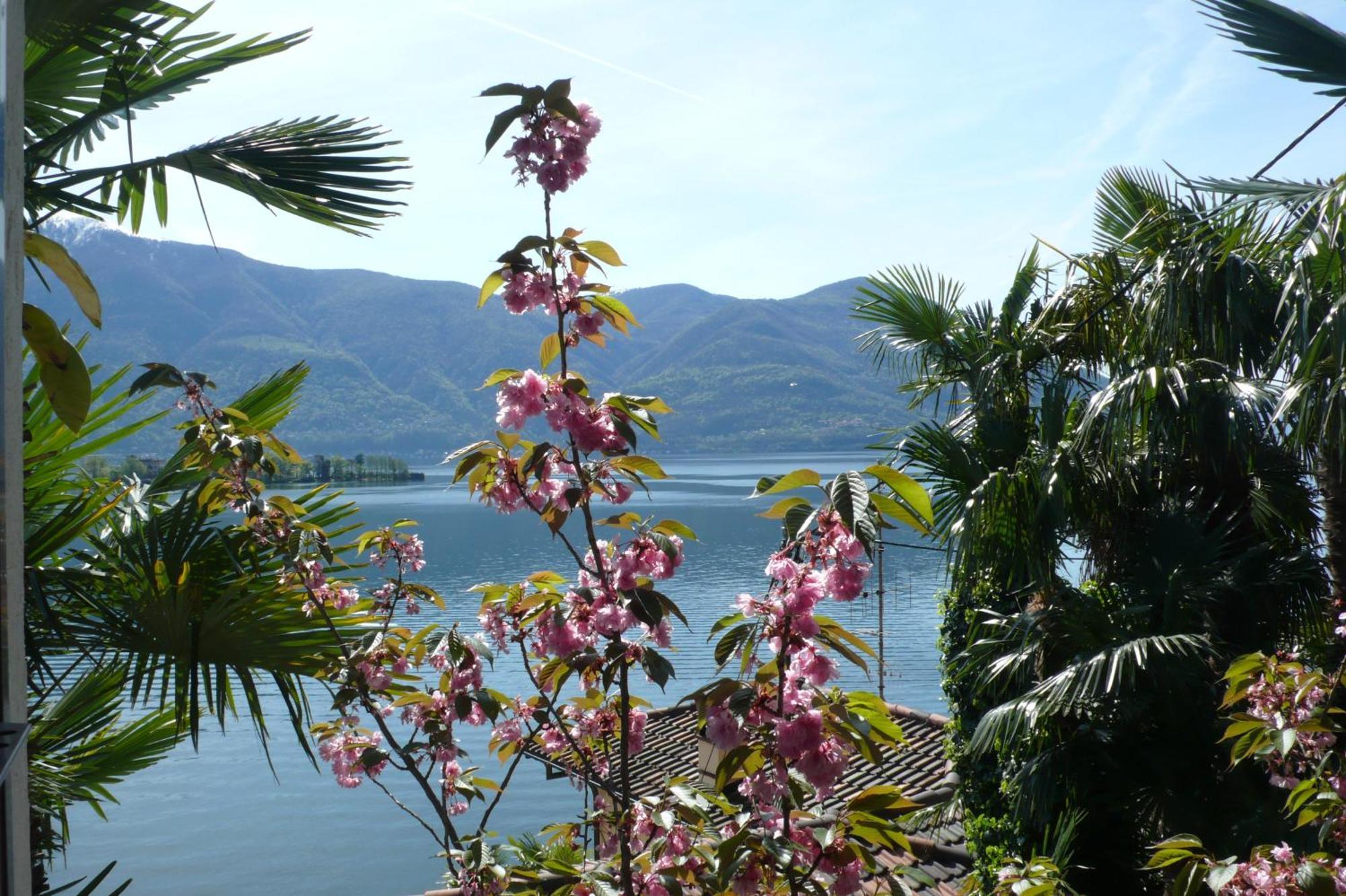 Residenza Bettina Bnb & Ferienwohnungen Ronco sopra Ascona Exterior foto